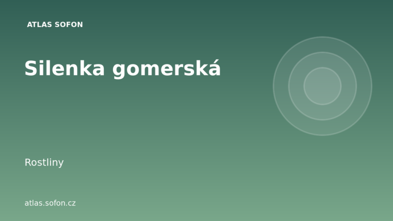 Silenka gomerská