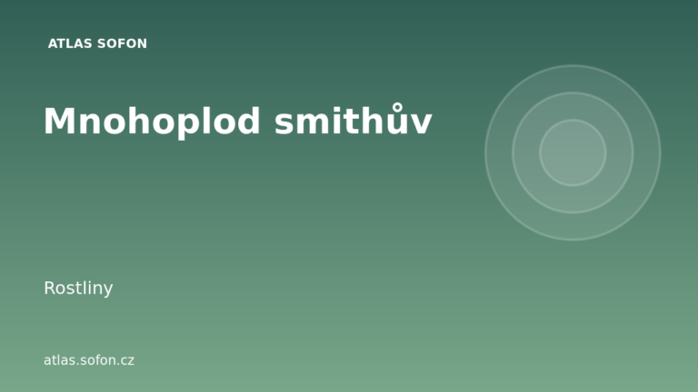 Mnohoplod smithův