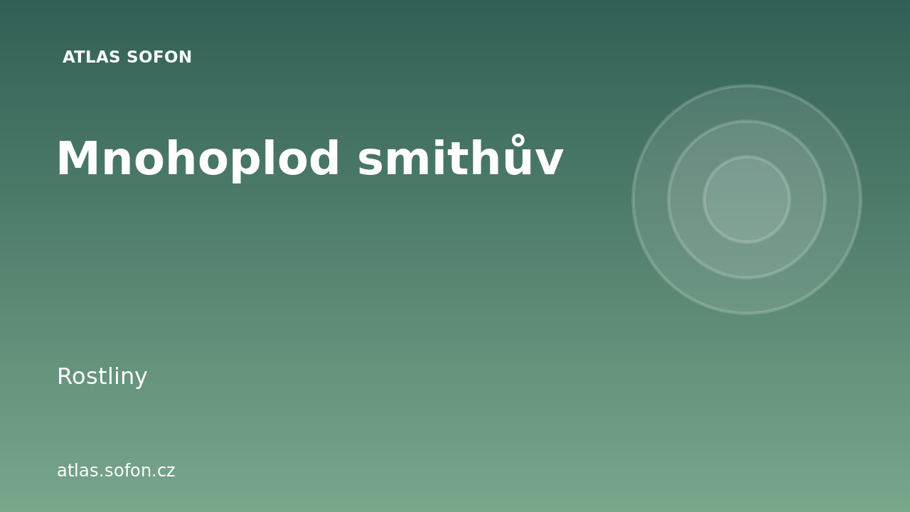 Mnohoplod smithův