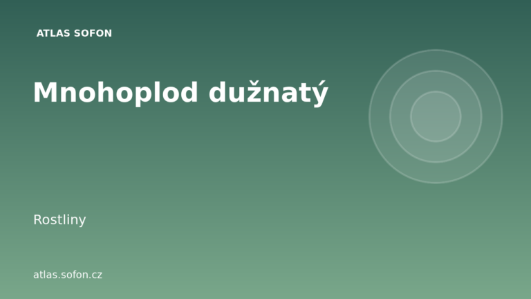 Mnohoplod dužnatý