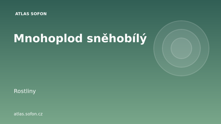 Mnohoplod sněhobílý