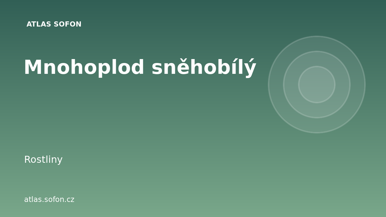 Mnohoplod sněhobílý
