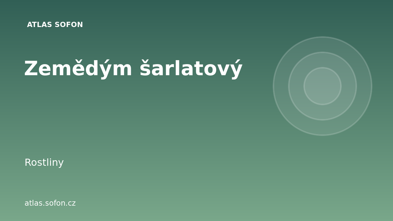 Zemědým šarlatový
