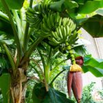 2018_06_TropicalIslands_IMG_2170