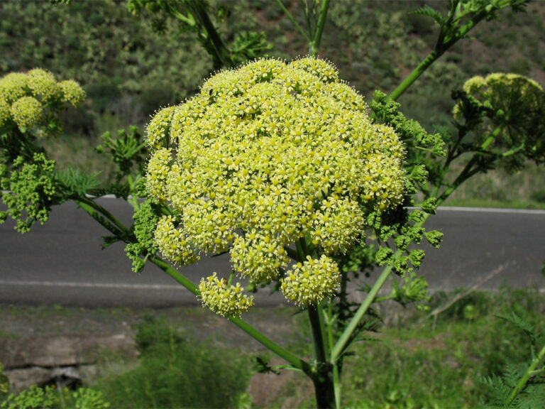 420778_c75ea052