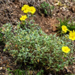 8e69bcdd7e94e68366b05884ceba8359