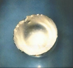Fm – Fermium