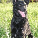 Gera062005sed