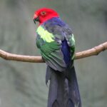 IMG_18822
