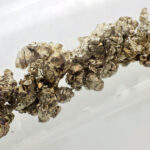 Strontium_destilled_crystals