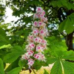 a9c700d78bb694a78e3ba78cae3a98711ecc61b3