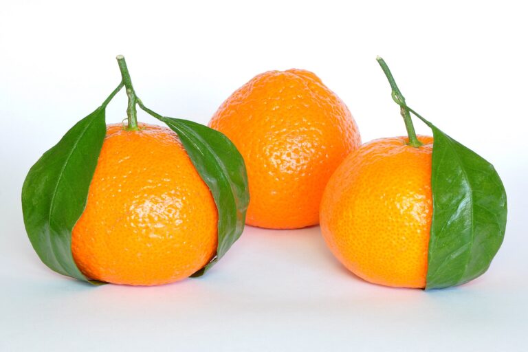 Mandarinkovník sladký Mandarinkovník sladký (Citrus reticulata)