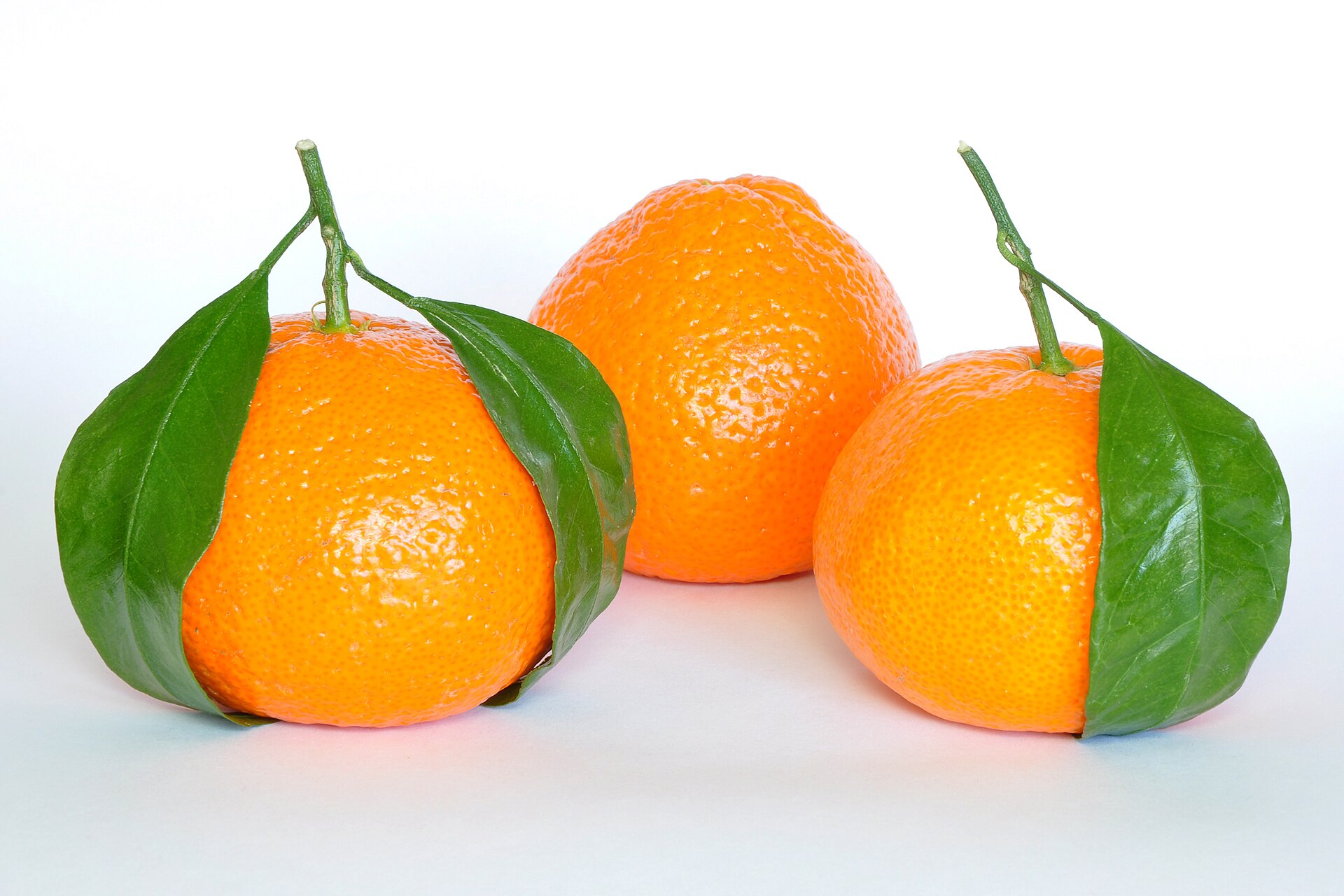 Mandarinkovník sladký