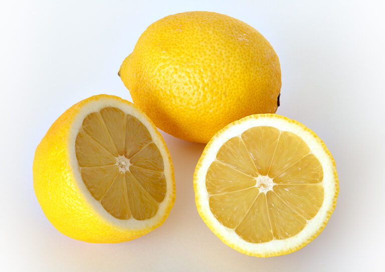Citroník limonový Citroník limonový