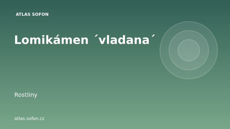 Lomikámen ´vladana´