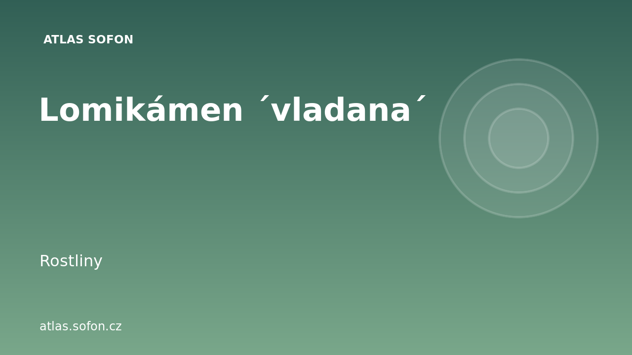 Lomikámen ´vladana´