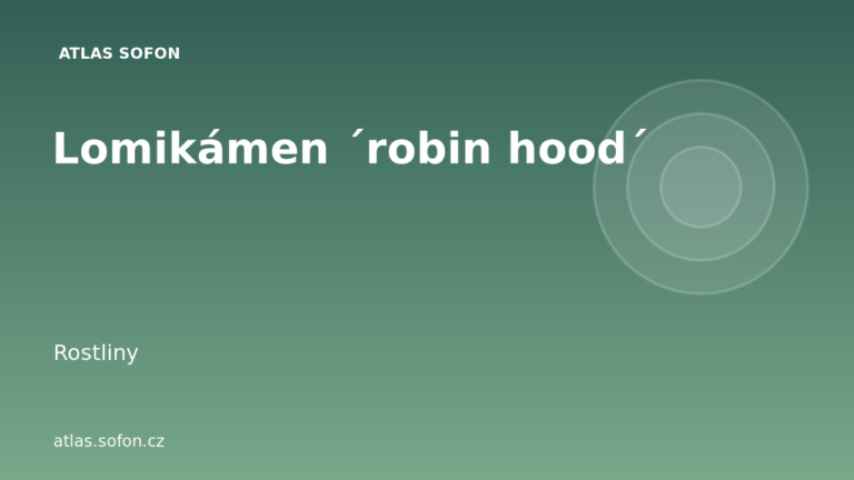 Lomikámen ´robin hood´