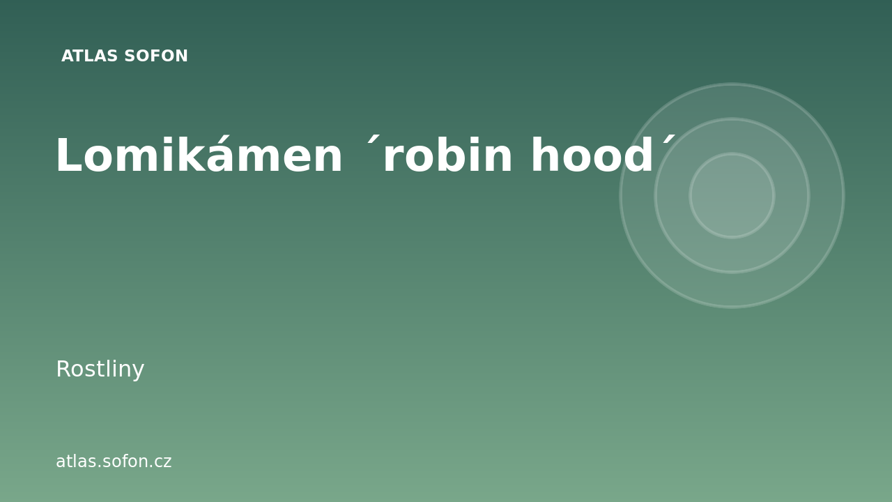 Lomikámen ´robin hood´