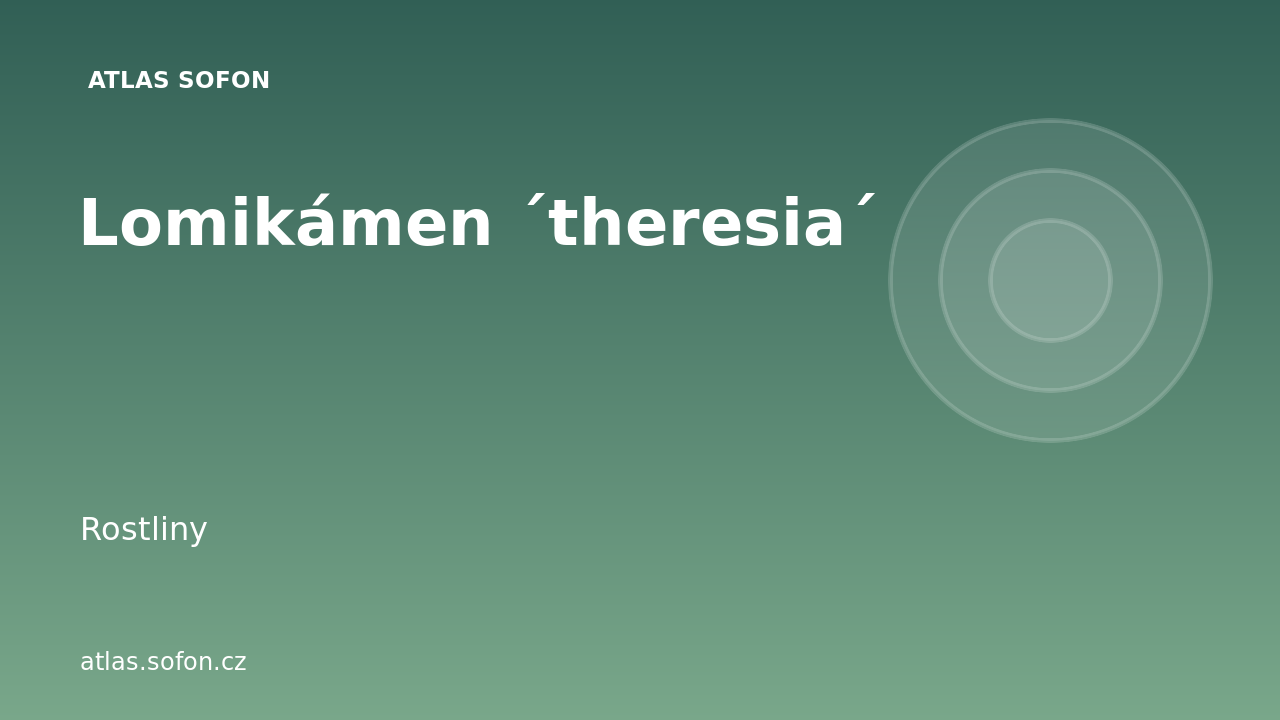 Lomikámen ´theresia´