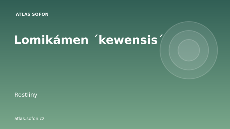 Lomikámen ´kewensis´