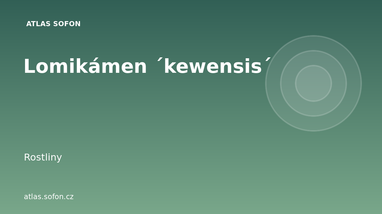 Lomikámen ´kewensis´