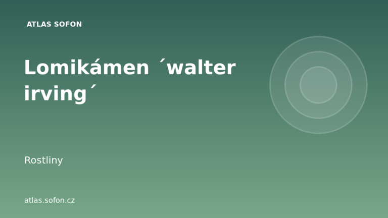 Lomikámen ´walter irving´