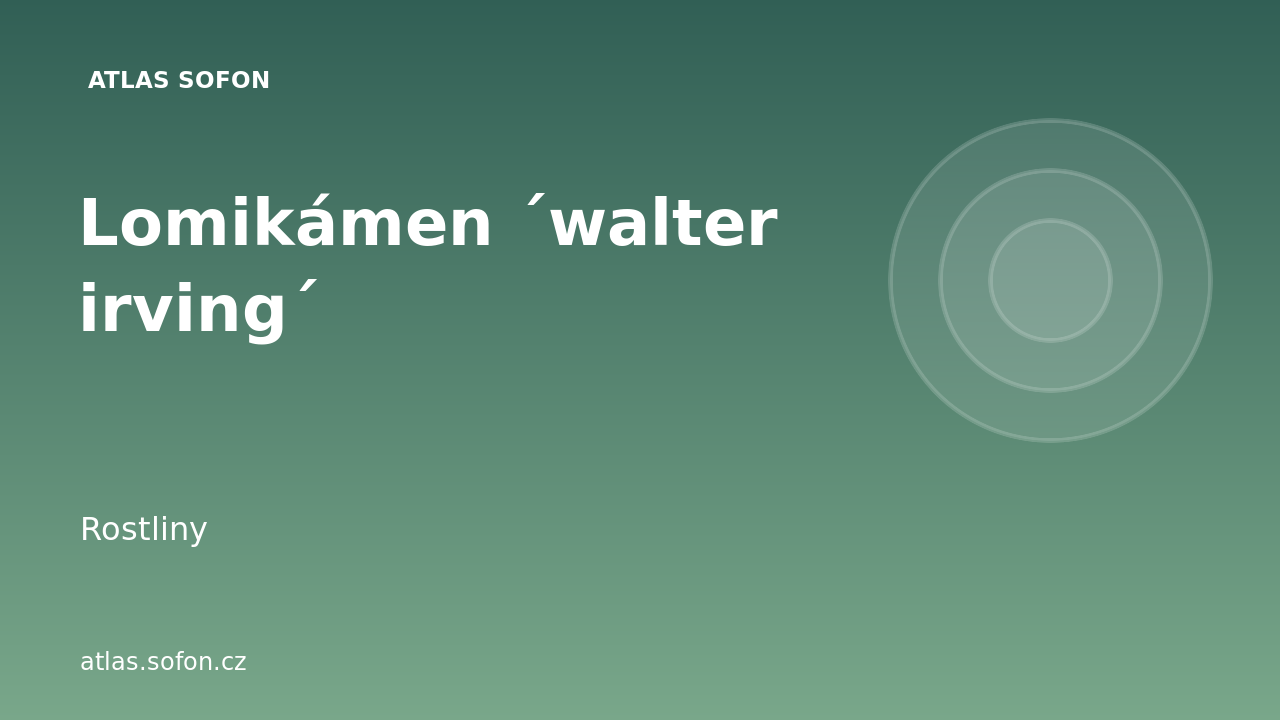Lomikámen ´walter irving´