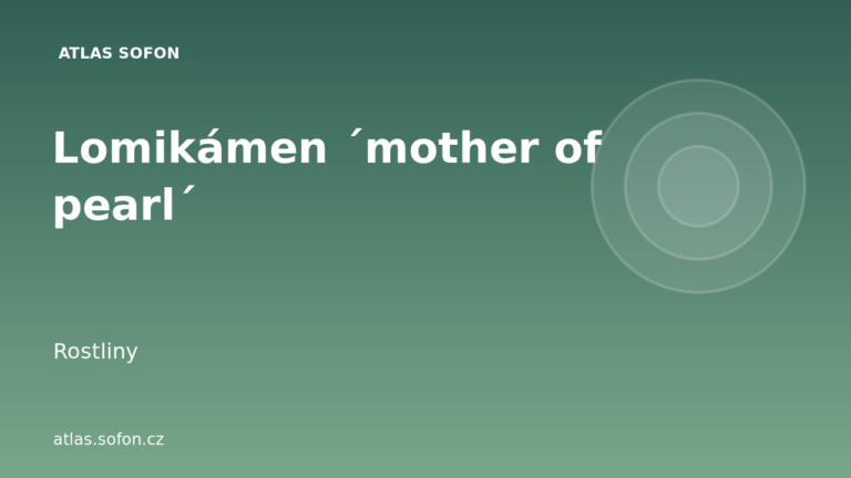 Lomikámen ´mother of pearl´