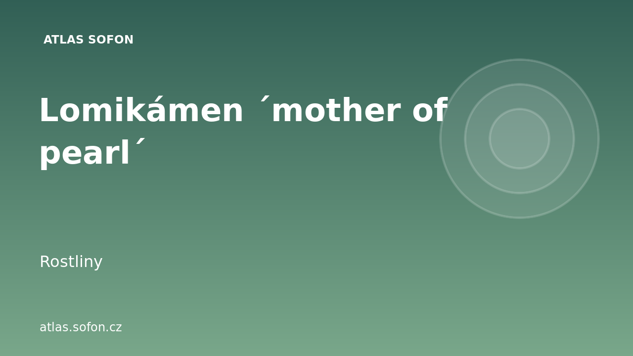 Lomikámen ´mother of pearl´