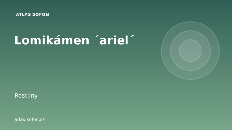 Lomikámen ´ariel´