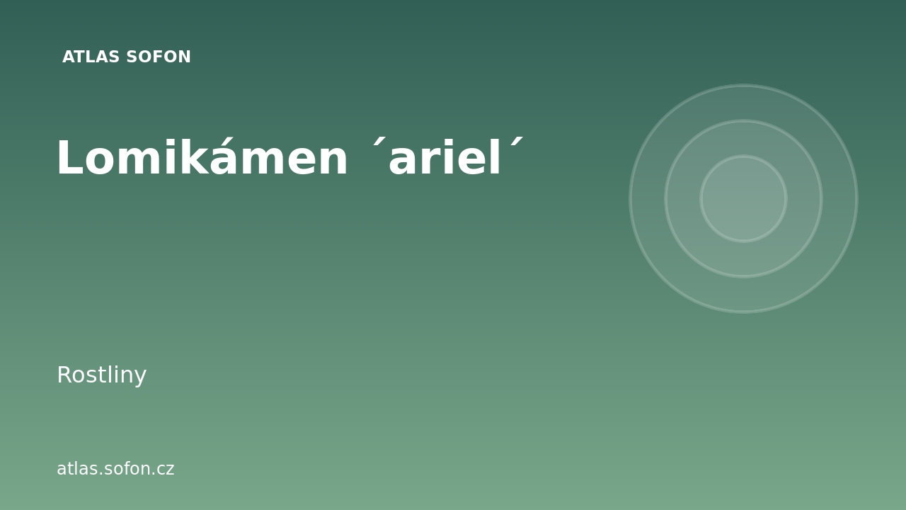 Lomikámen ´ariel´