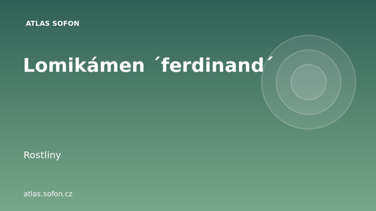 Lomikámen ´ferdinand´ Lomikámen ´ferdinand´