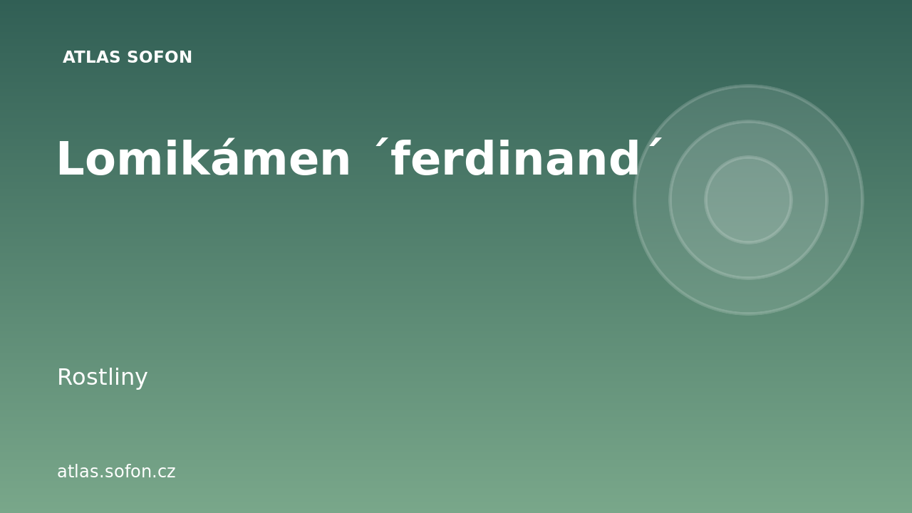 Lomikámen ´ferdinand´