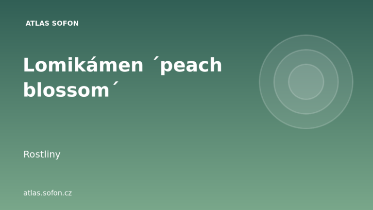 Lomikámen ´peach blossom´