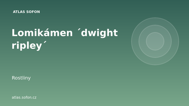 Lomikámen ´dwight ripley´