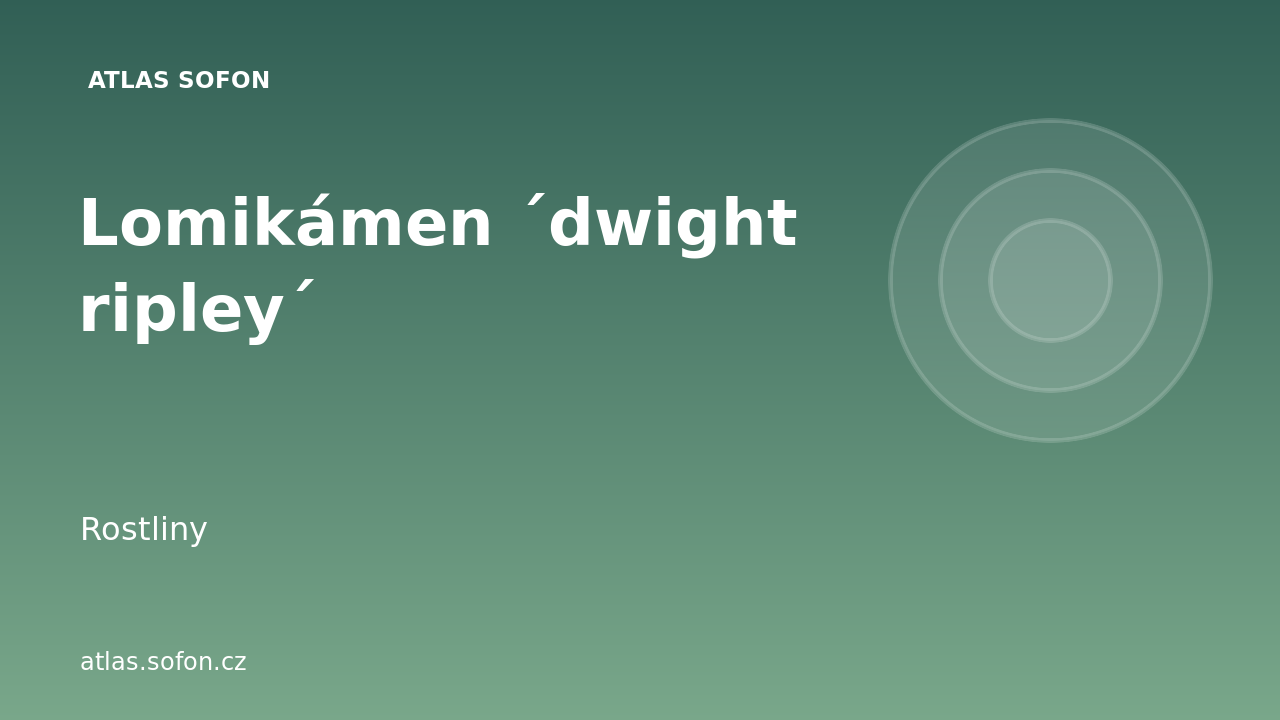 Lomikámen ´dwight ripley´