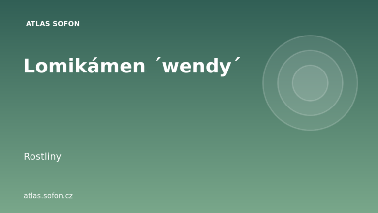 Lomikámen ´wendy´