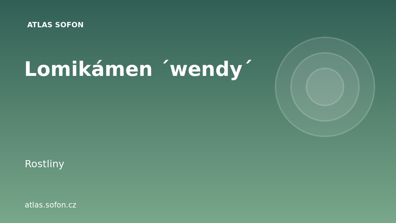 Lomikámen ´wendy´