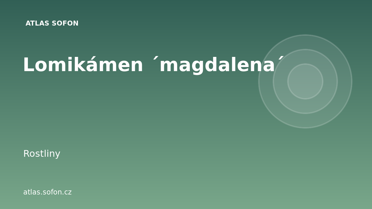 Lomikámen ´magdalena´
