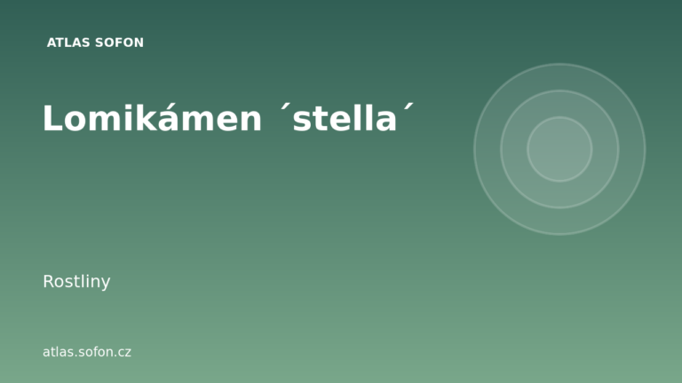Lomikámen ´stella´