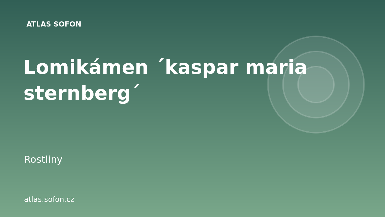 Lomikámen ´kaspar maria sternberg´