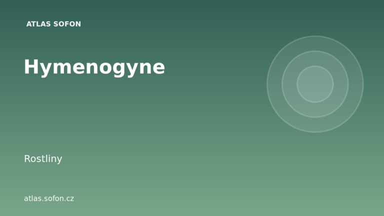 Hymenogyne