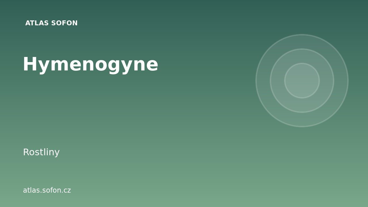 Hymenogyne