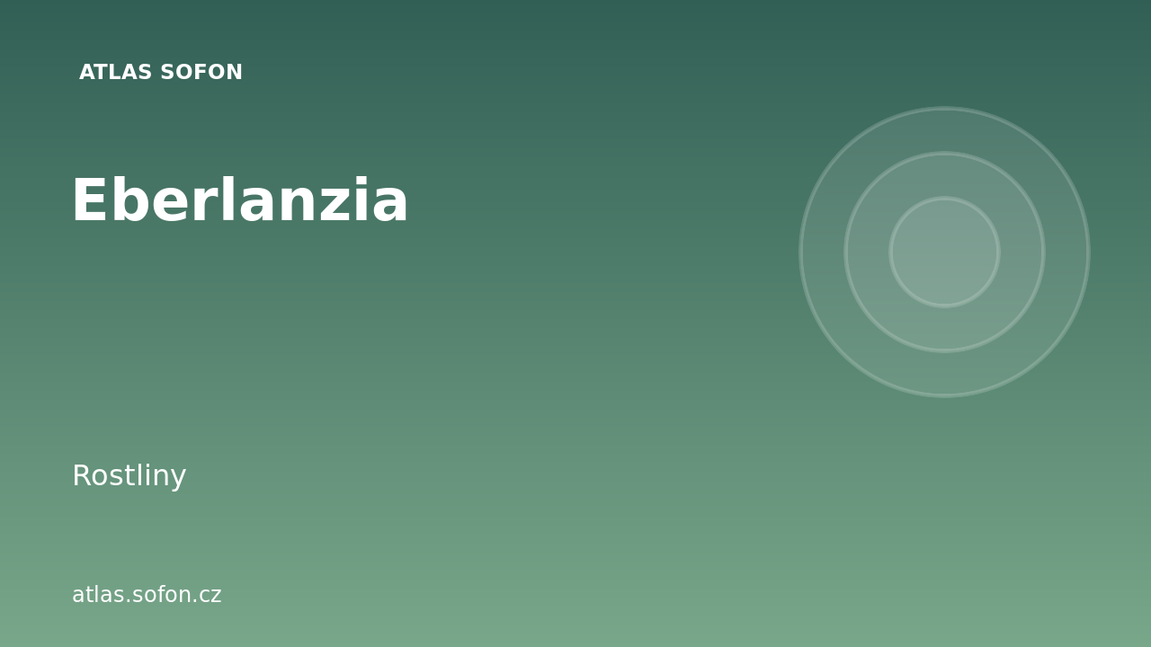 Eberlanzia