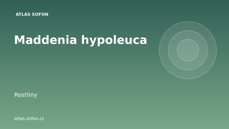 Maddenia hypoleuca