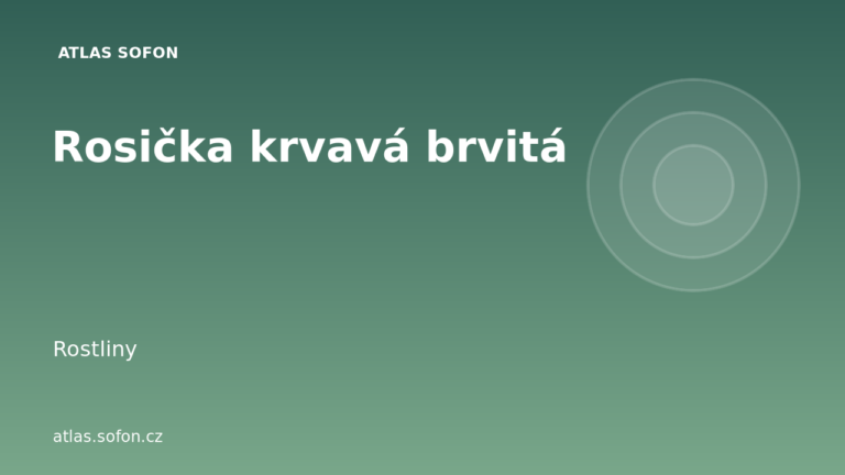 Rosička krvavá brvitá