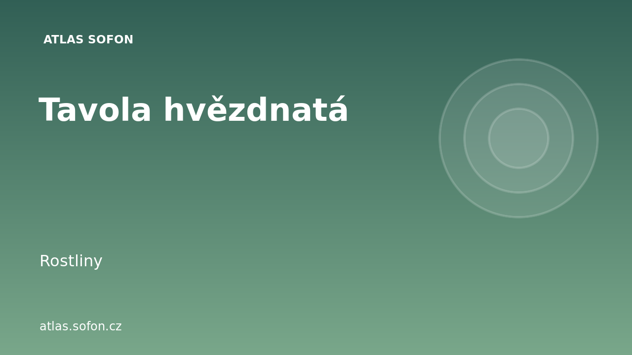 Tavola hvězdnatá
