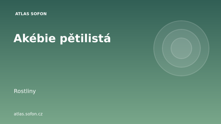 Akébie pětilistá