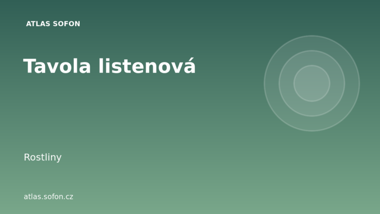 Tavola listenová Tavola listenová