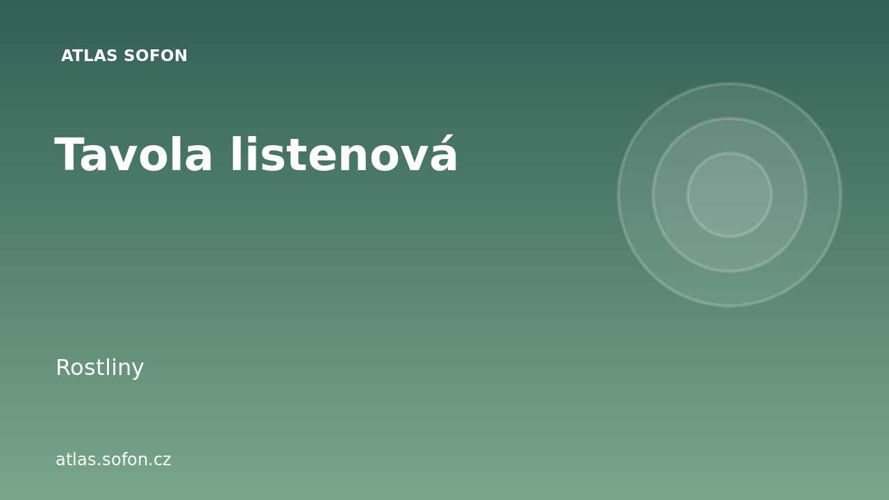 Tavola listenová